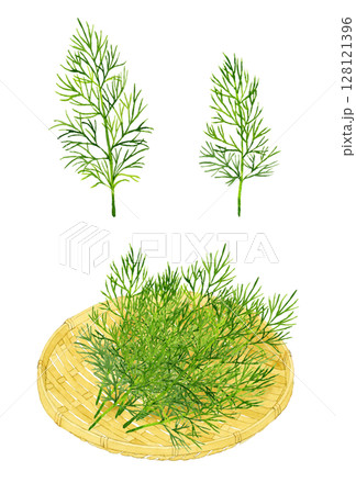ディルと竹ざるのセット　ハーブの手描き水彩イラスト素材 128121396