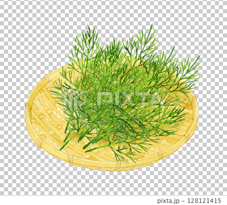Dill (herb) on a bamboo sieve Hand-drawn watercolor illustration 128121415