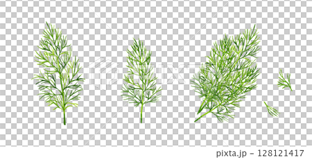 ディルのセット　ハーブの手描き水彩イラスト素材 128121417
