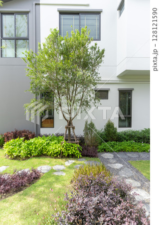 Garden with many green plant and pine tree in home back garden. Garden with many green plant and pine tree in home back garden. 128121590