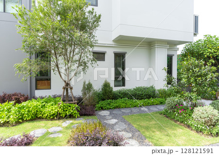 Garden with many green plant and pine tree in home back garden. Garden with many green plant and pine tree in home back garden. 128121591