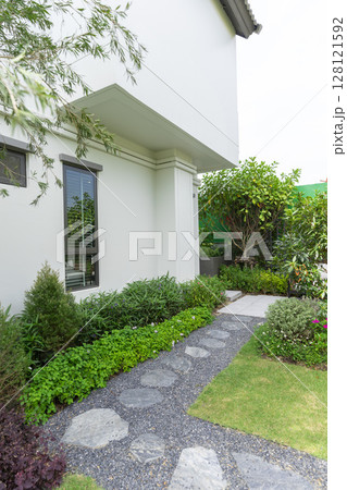Garden with many green plant and pine tree in home back garden. Garden with many green plant and pine tree in home back garden. 128121592