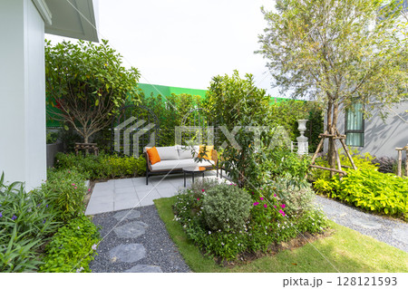 Garden with many green plant and pine tree in home back garden. 128121593