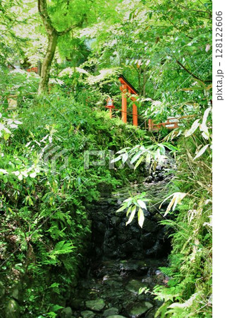 京都・鴨川の水源『貴船川』沿いに建つ… 縁結びの神水【貴船神社】 京都・鴨川の水源『貴船川』沿いに建つ… 縁結びの神水【貴船神社】 128122606