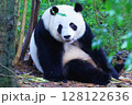可愛い 128122636