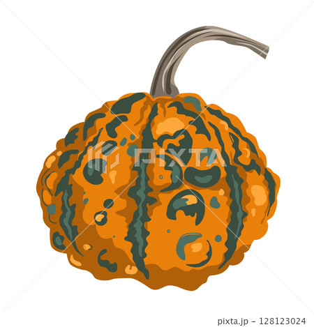 Funny small decorative pimpled pumpkin illustration isolated on white. Pimply and warty gourd vector drawing 128123024
