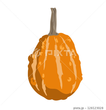 Cute small decorative pumpkin illustration isolated on white. Vector drawing Cute small decorative pumpkin illustration isolated on white. Vector drawing 128123028