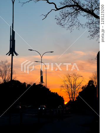 Beautiful sunset with silhouette trees and streetlamps along the road during evening hours in a serene urban setting Beautiful sunset with silhouette trees and streetlamps along the road during evening hours in a serene urban setting 128123200