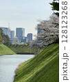 千鳥ヶ淵の桜 128123268