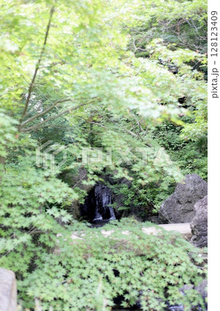 寒川神社 夏 寒川神社 夏 128123409