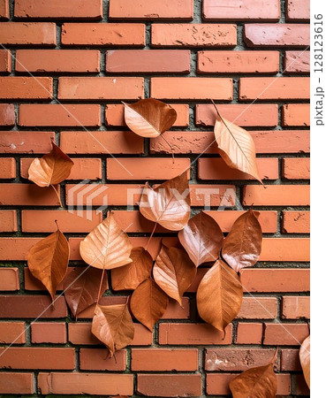 テラコッタ系レンガ壁に積もった濡れ落ち葉のリアル質感テクスチャ テラコッタ系レンガ壁に積もった濡れ落ち葉のリアル質感テクスチャ 128123616