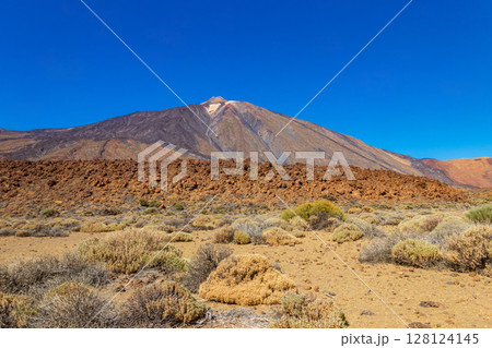 View of Teide volcano in Teide National Park, Tenerife island, Canary islands, Spain 128124145