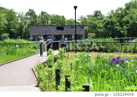 神奈川県　藤沢市立遠藤笹窪谷公園の散策路としょうぶ園 128124459