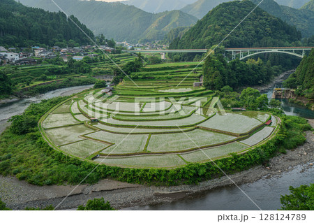 棚田のある風景 あらぎ島 和歌山県有田川町 棚田のある風景 あらぎ島 和歌山県有田川町 128124789