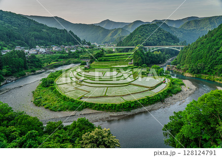 棚田のある風景 あらぎ島 和歌山県有田川町 棚田のある風景 あらぎ島 和歌山県有田川町 128124791
