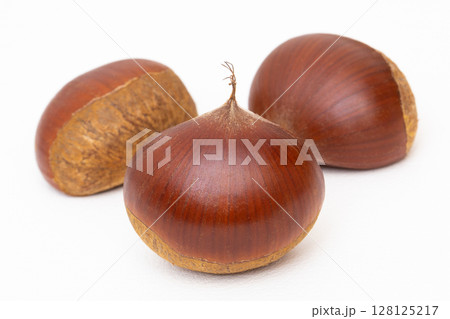 栗　クリ 128125217