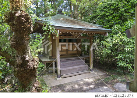 宮城県仙台市の瑞鳳寺 宮城県仙台市の瑞鳳寺 128125377