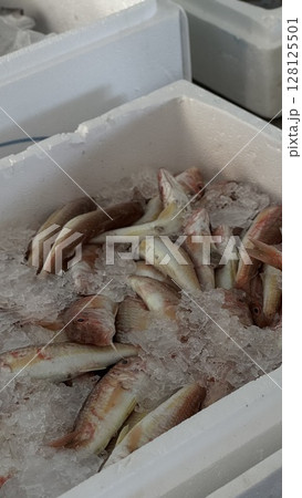 Fresh shrimp displayed on ice at a market stand, ideal for culinary, seafood industry, and ingredient-focused food imagery. 128125501