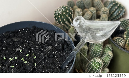 A pot filled with soil and a decorative metal bird beside cacti, ideal for planting, indoor gardening, or hobby visuals. 128125559