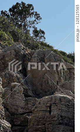 Rocky Cliff with Lone Tree Against Blue Sky 128125565