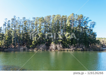 St Georges Lake in Creswick Australia St Georges Lake in Creswick Australia 128126266