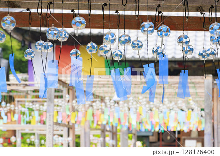 あじさい満開の東光院　風鈴祭り 128126400