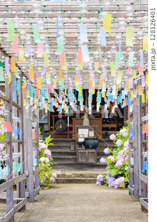 あじさい満開の東光院　風鈴祭り 128126401