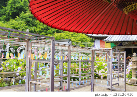 あじさい満開の東光院　風鈴祭り 128126410