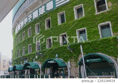 夏の阪神甲子園球場の外観1・人物なし 128126614