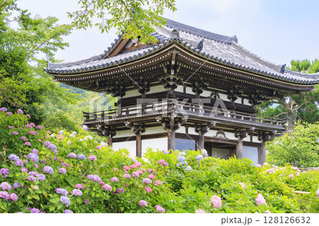 丹州華観音寺 満開の紫陽花 丹州華観音寺 満開の紫陽花 128126632