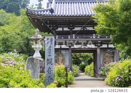 丹州華観音寺　満開の紫陽花 128126635