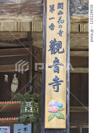 丹州華観音寺　満開の紫陽花 128126656