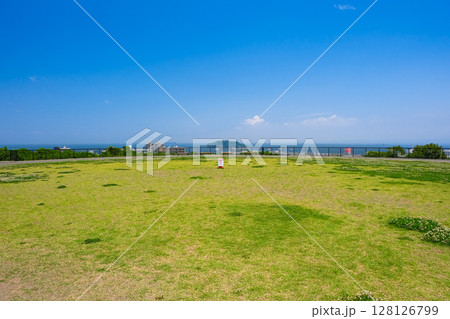 神奈川県横須賀市 平和中央公園、芝生広場 128126799