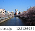 仙台堀川の桜 128126984