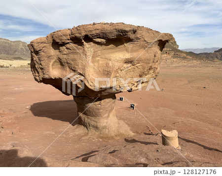 Stone mushroom in Timna Park in the Arava desert 128127176
