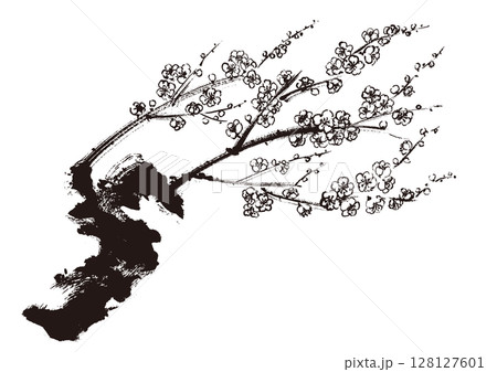 梅の和風手書き筆イラスト 墨絵モノクロ 梅の和風手書き筆イラスト 墨絵モノクロ 128127601