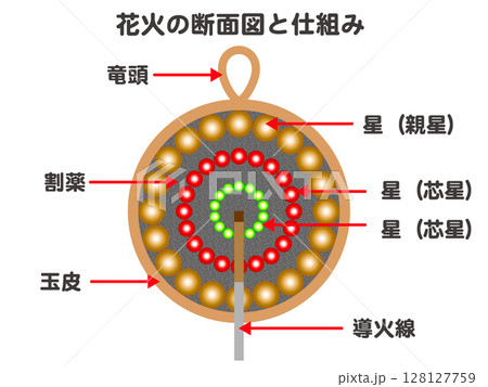 日本の花火玉の断面図の図解説明イラスト素材 128127759