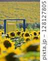 向日葵畑とドア 128127805