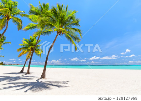 Perfect white sand beach with coconut palm trees and turquoise water in Cap Cana, Dominican Republic. Summer holiday beach concept. Perfect white sand beach with coconut palm trees and turquoise water in Cap Cana, Dominican Republic. Summer holiday beach concept. 128127969