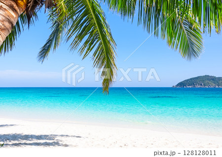 Amazing white sand beach with coconut palm on an island in Thailand Amazing white sand beach with coconut palm on an island in Thailand 128128011