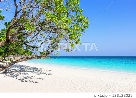 Amazing beach of the Similan Islands in the Andaman Sea, off the coast of Phang Nga in southern Thailand. 128128023