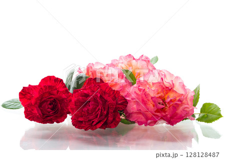 bouquet of summer bright roses on white background bouquet of summer bright roses on white background 128128487