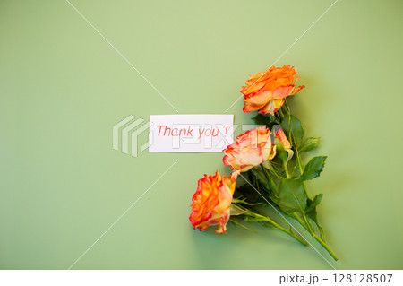 Bright rosebud with delicate petals on pastel green background Bright rosebud with delicate petals on pastel green background 128128507