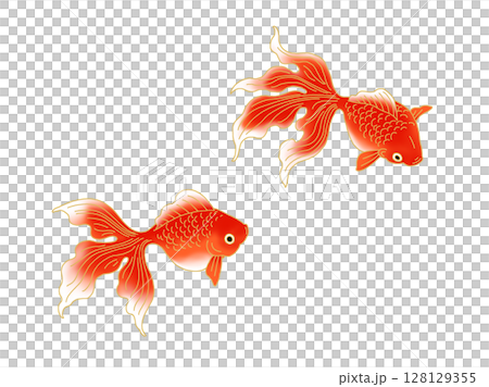 Goldfish Japanese style material 128129355