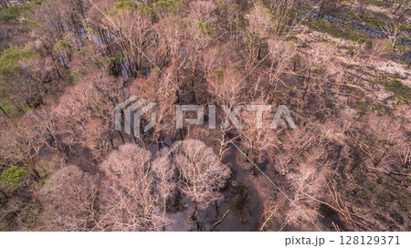Aerial view of Burnt Swamp After Wildfire Aerial view of Burnt Swamp After Wildfire 128129371