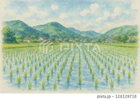 田植え直後の田んぼ 128129718