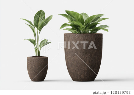 Potted Plants Minimalism 128129792