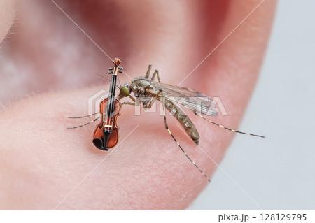 Mosquito Symphony. A mosquito on a person's ear with a tiny violin, 128129795