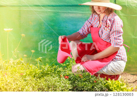 woman watering plants in garden 128130003