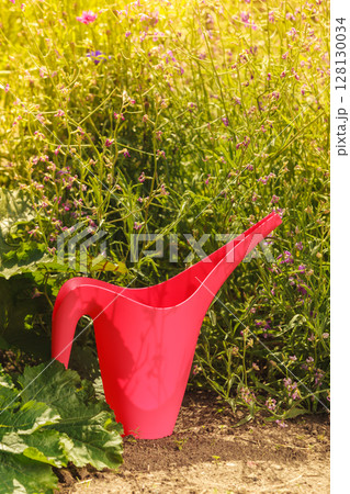 red water can in garden 128130034
